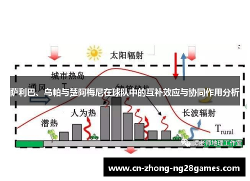 萨利巴、乌帕与楚阿梅尼在球队中的互补效应与协同作用分析