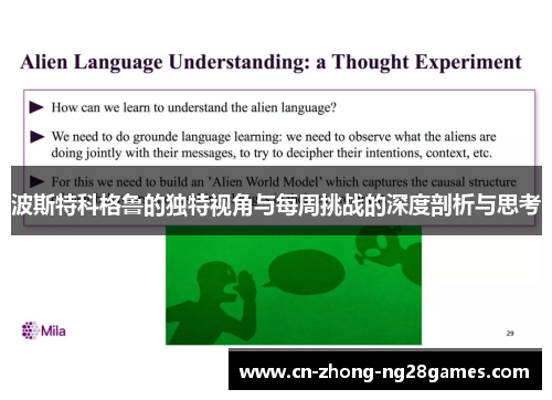 波斯特科格鲁的独特视角与每周挑战的深度剖析与思考